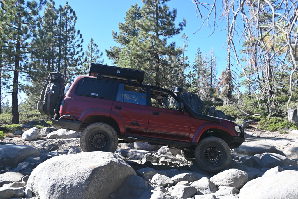 DSC_0798.jpg