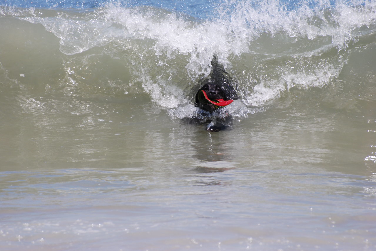 DSC_2849.jpg