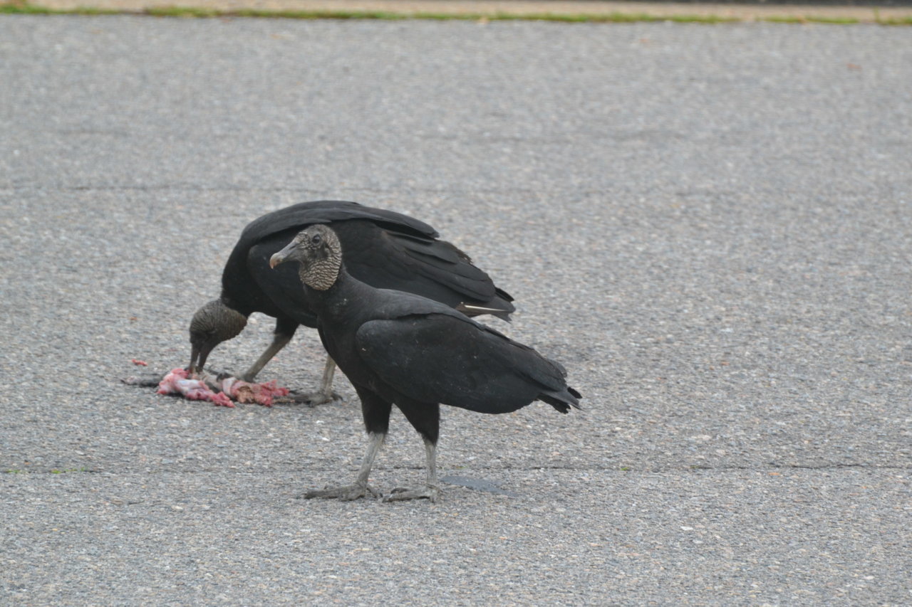 DSC_3640.jpg