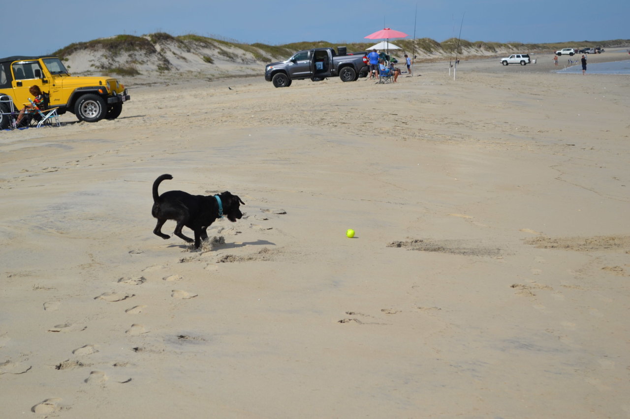 DSC_6245.jpg