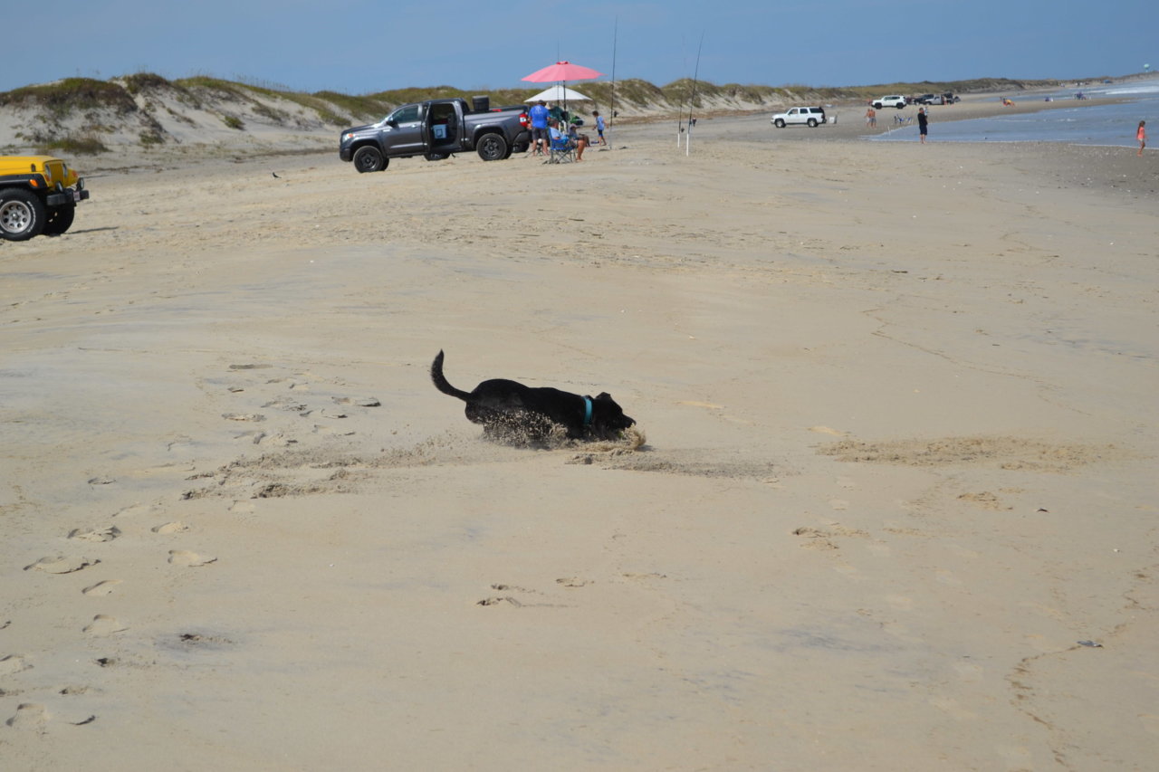 DSC_6246.jpg