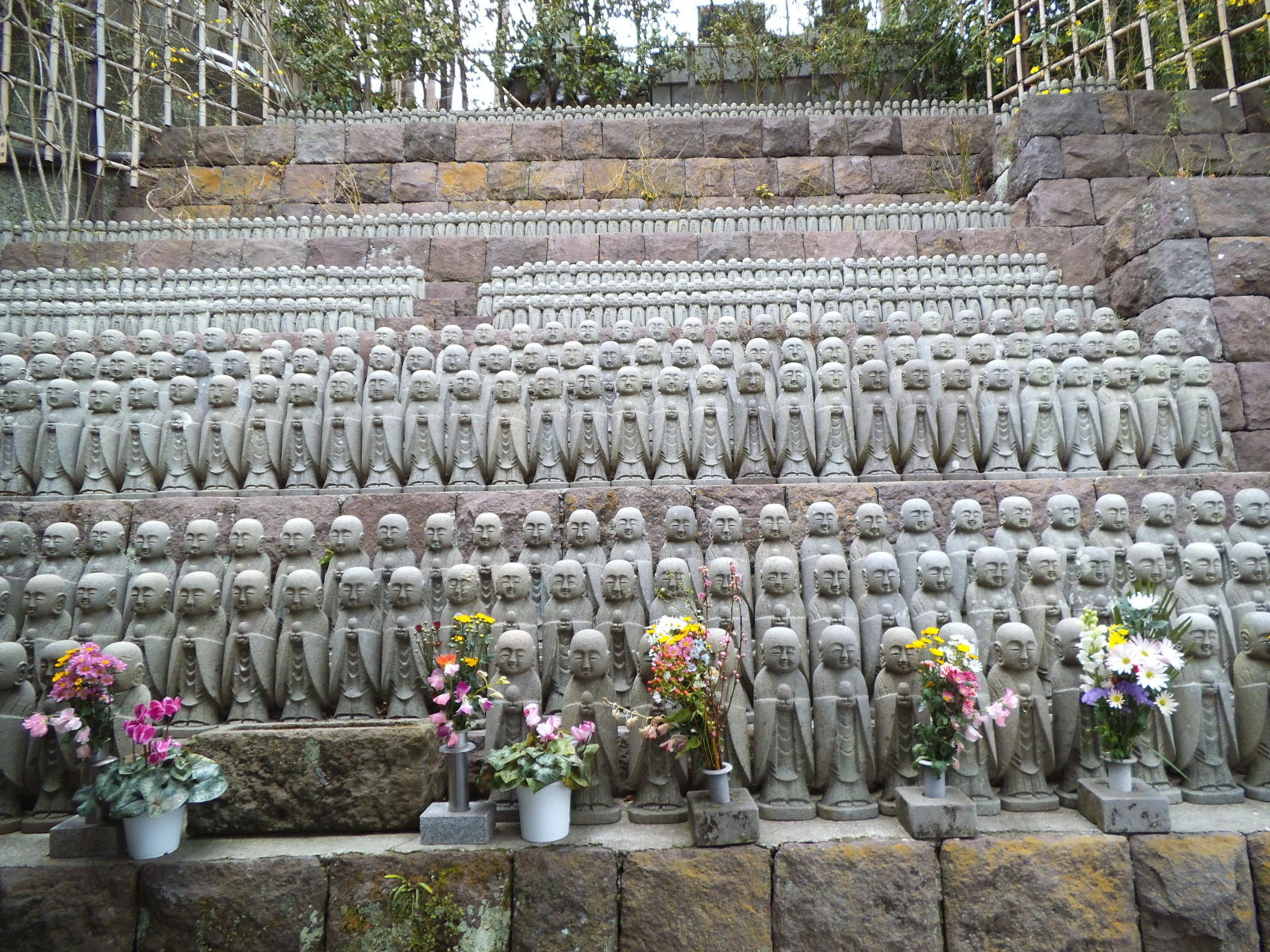 DSCF0037.jpg