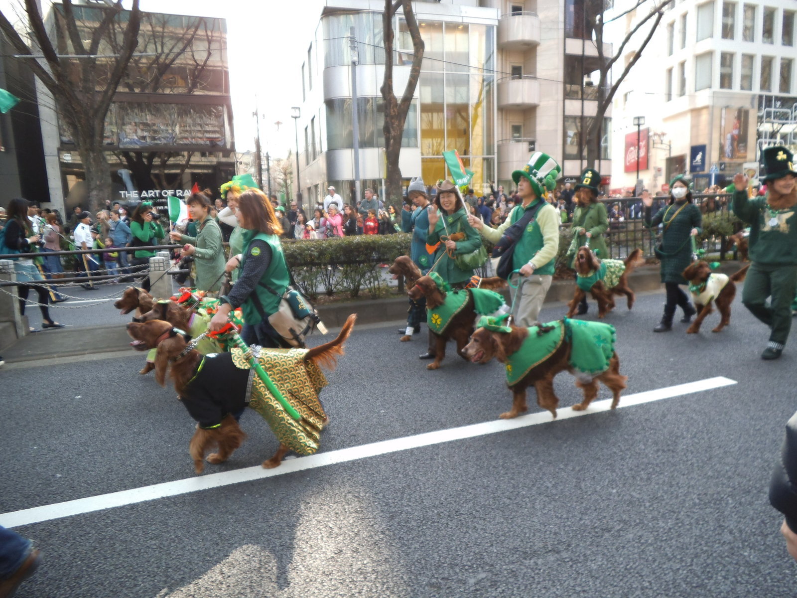 DSCF0218.jpg