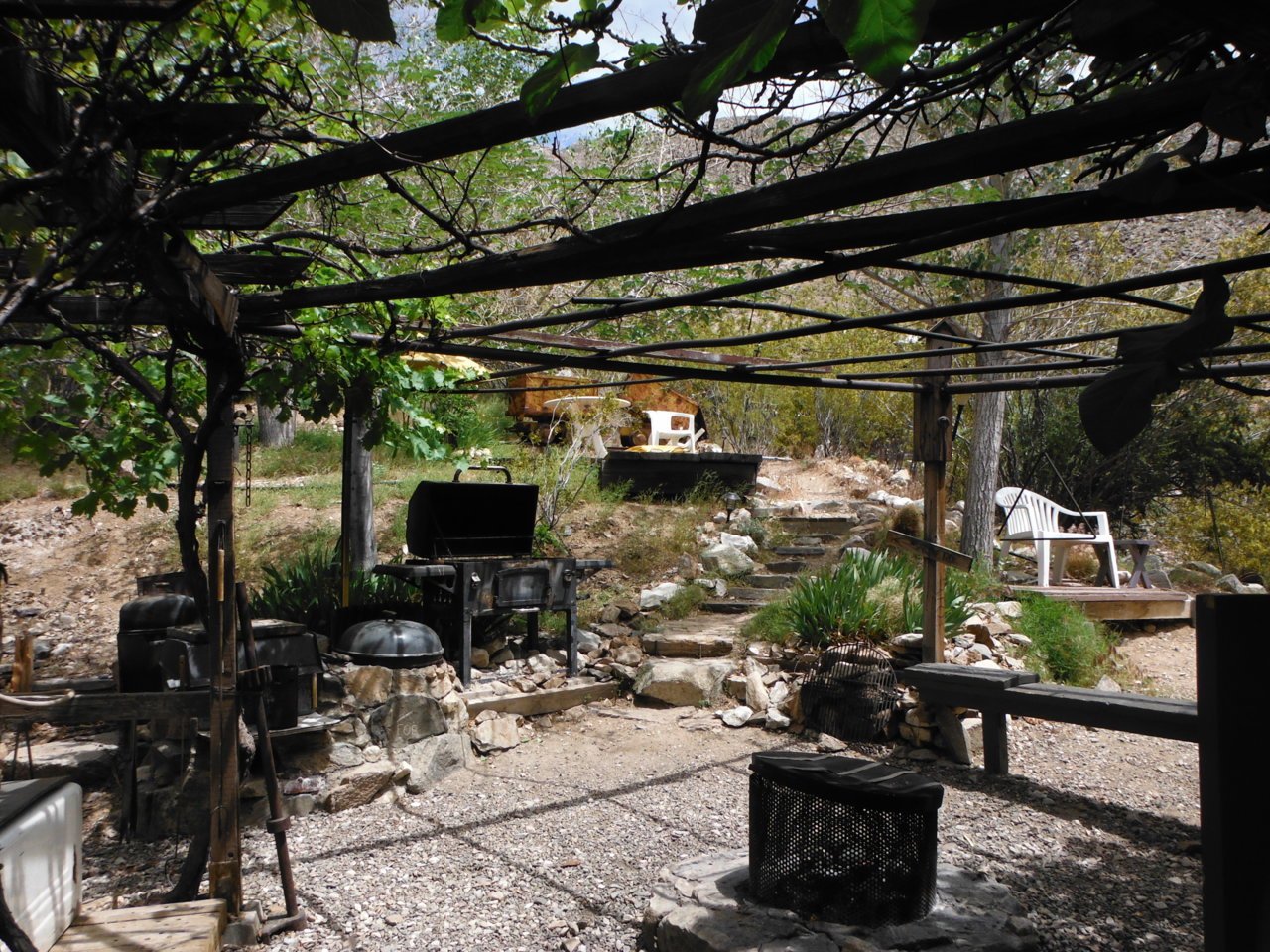 DSCF0411.jpg