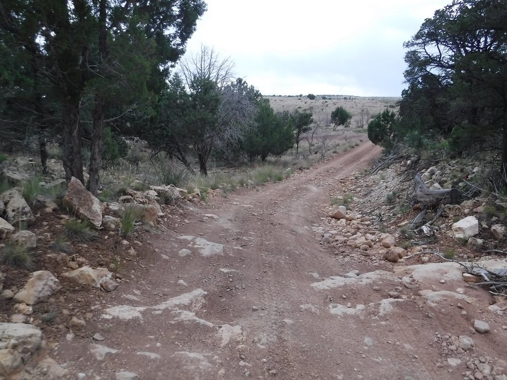 DSCF1967.jpg