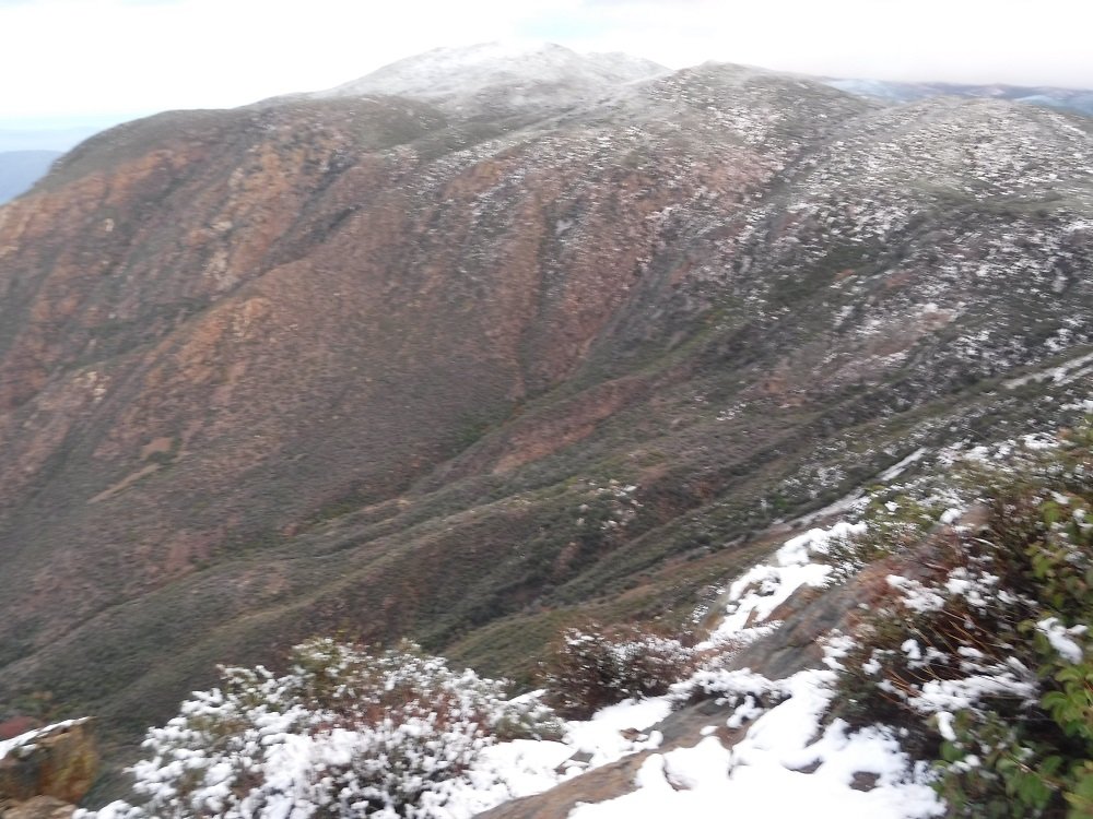DSCF4455.jpg