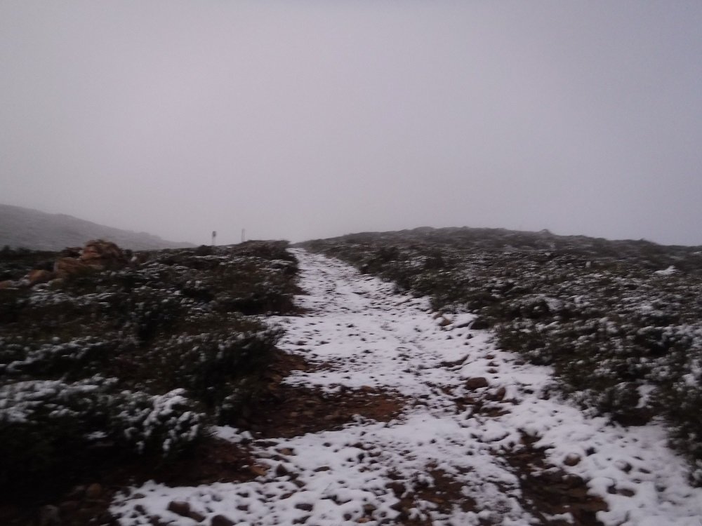 DSCF4521.jpg