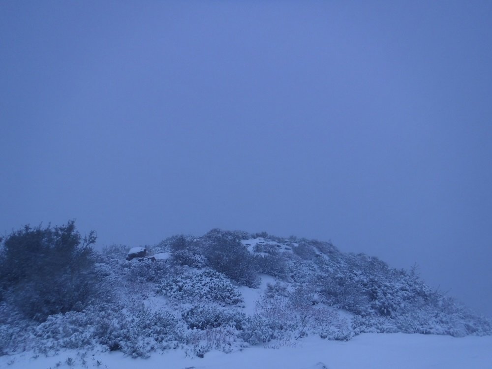 DSCF7649.jpg