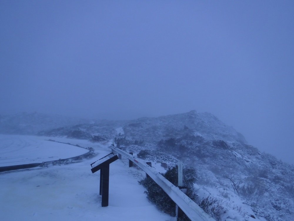 DSCF7650.jpg