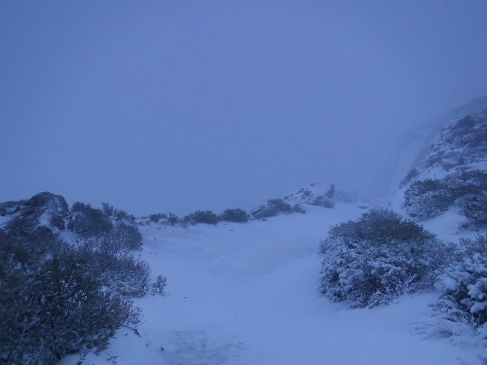 DSCF7658.jpg