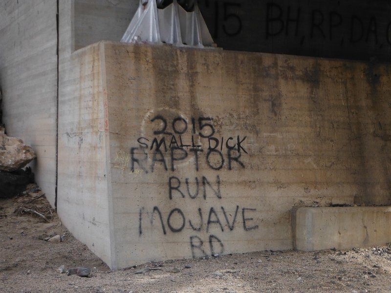 DSCF8742.jpg