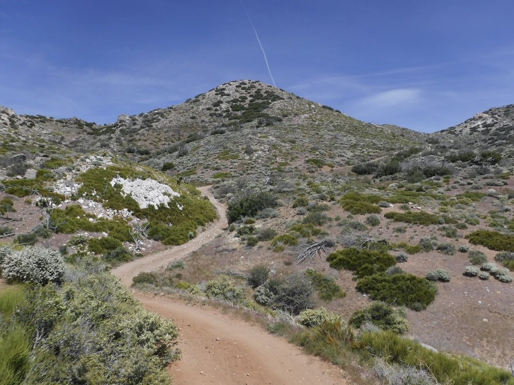 DSCF9334.jpg