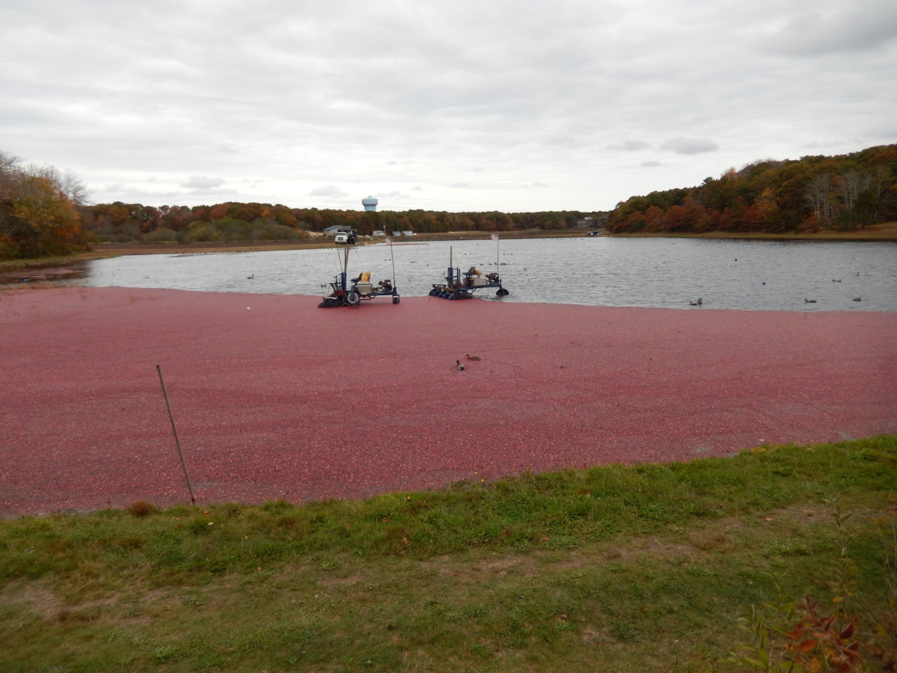 DSCN0664.jpg