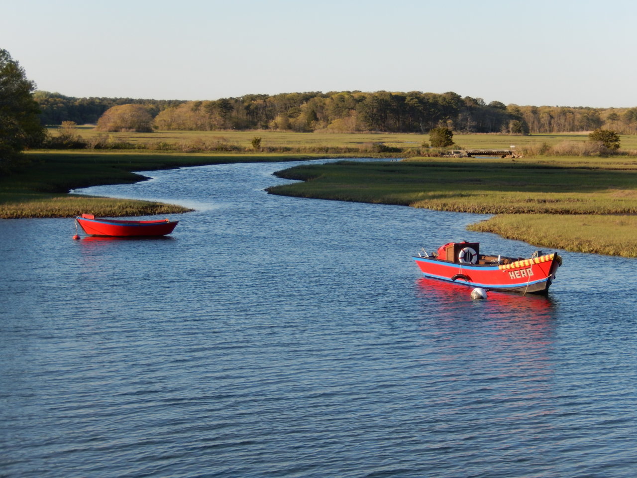 DSCN0795.jpg