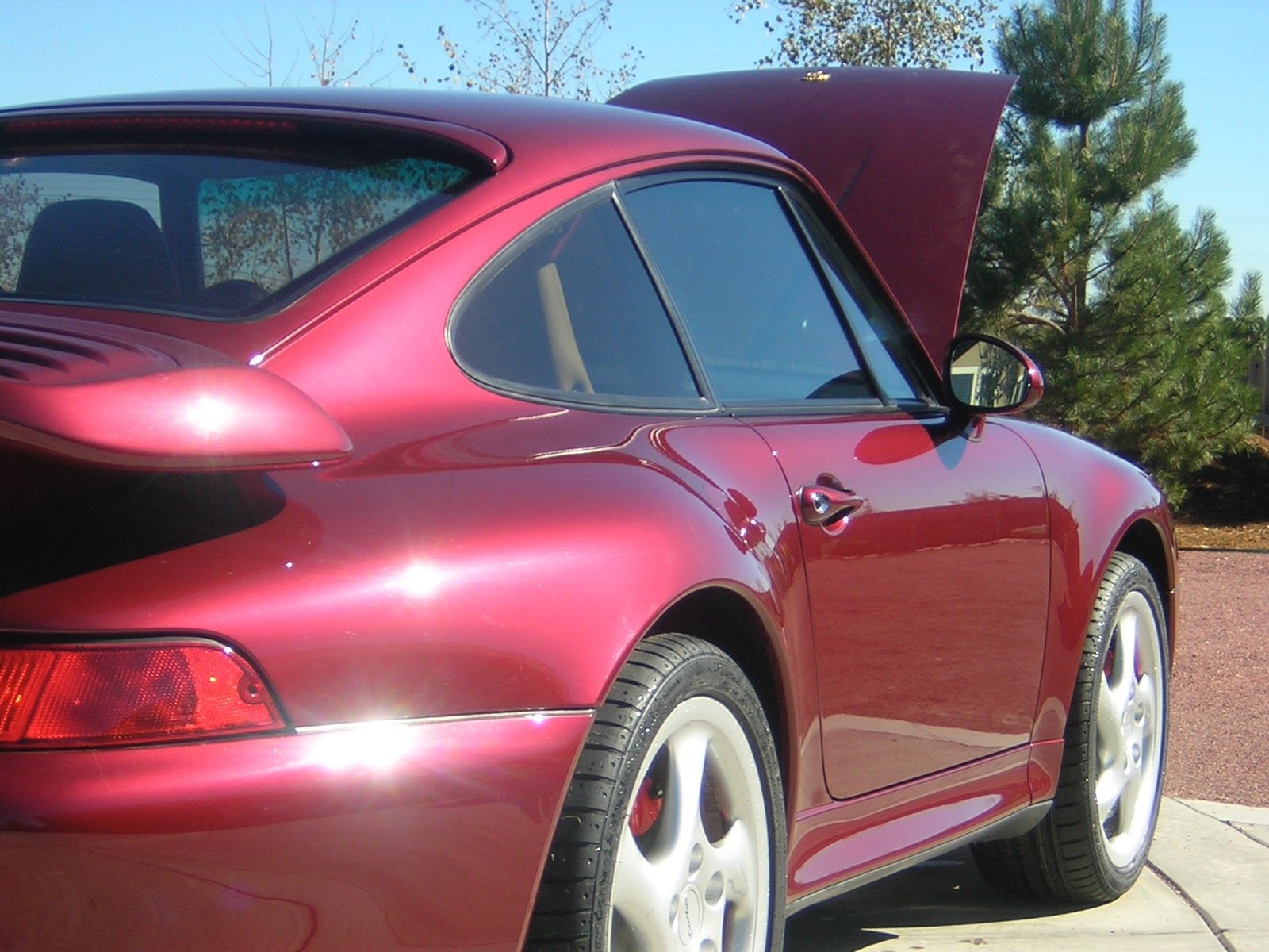 DSCN1239.jpg