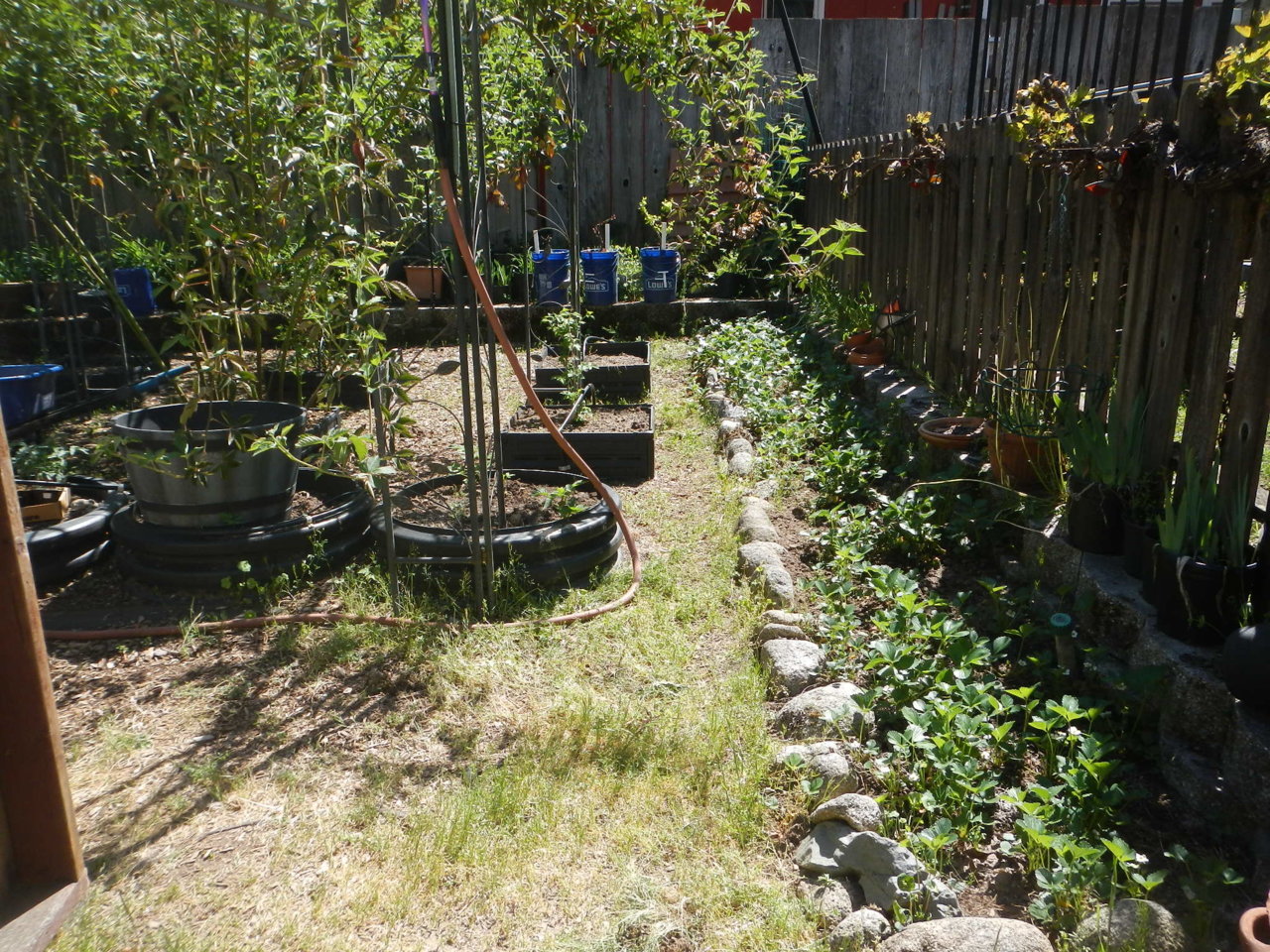 DSCN4260.jpg