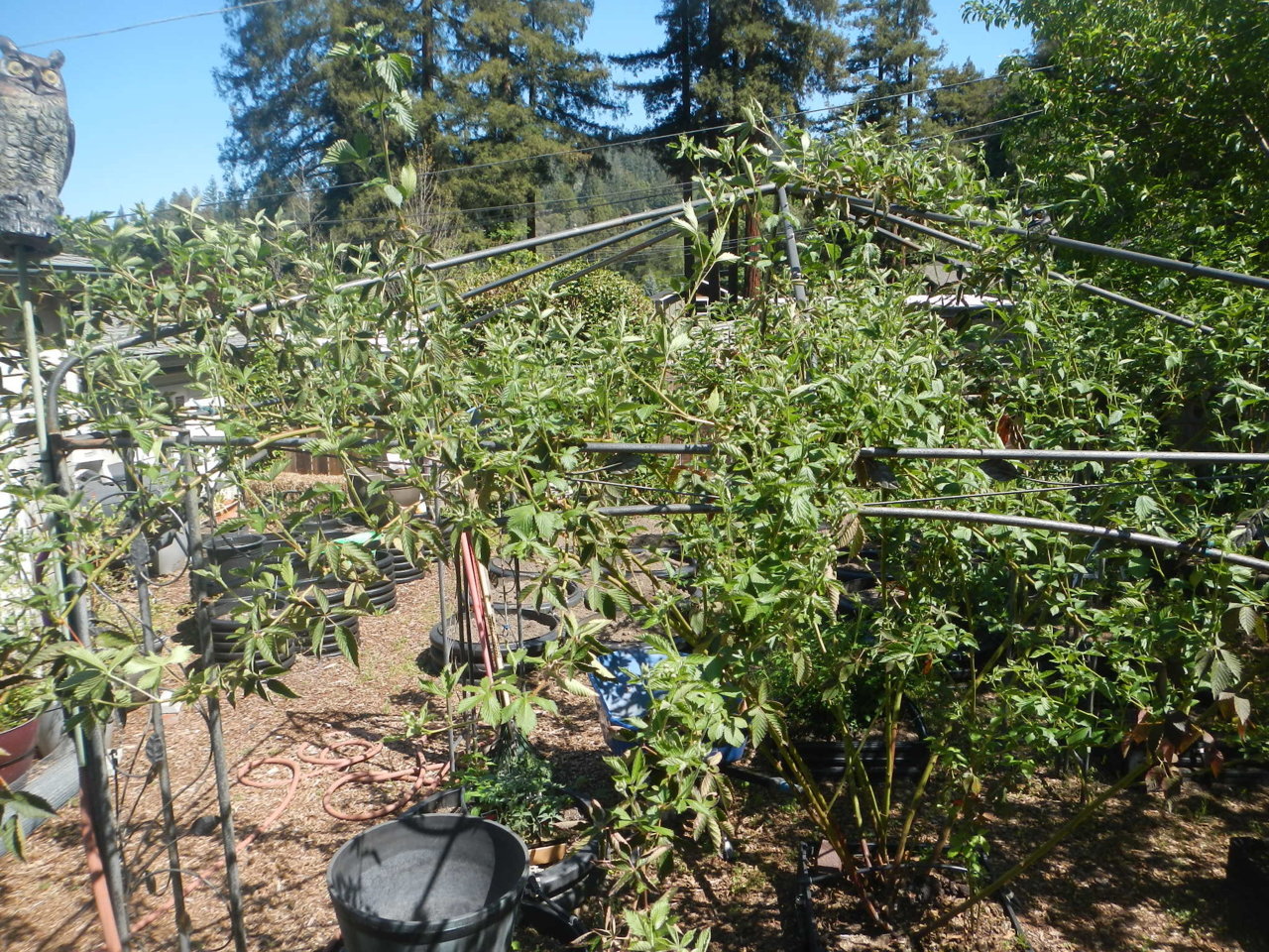 DSCN4263.jpg