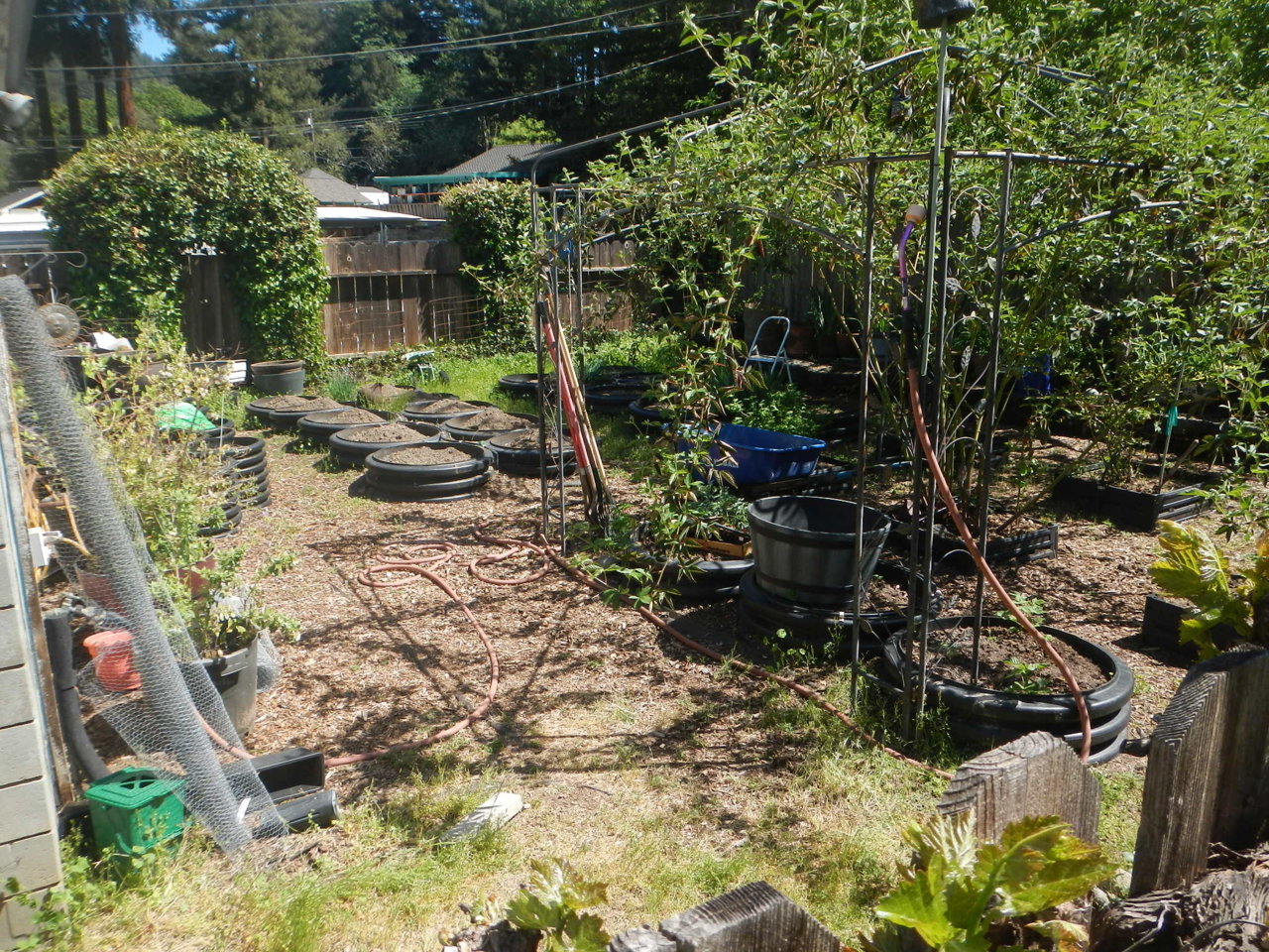 DSCN4264.jpg