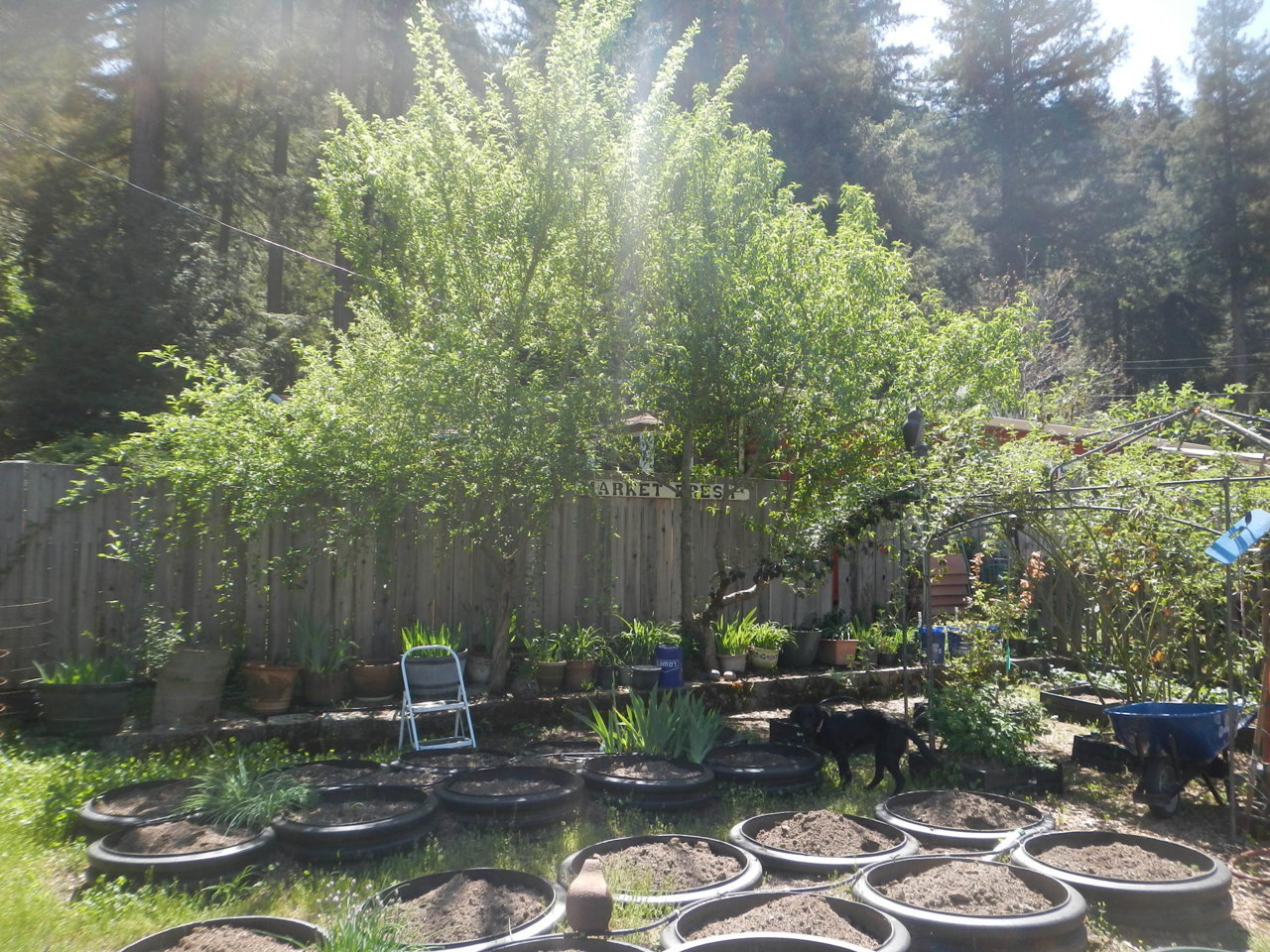 DSCN4266.jpg