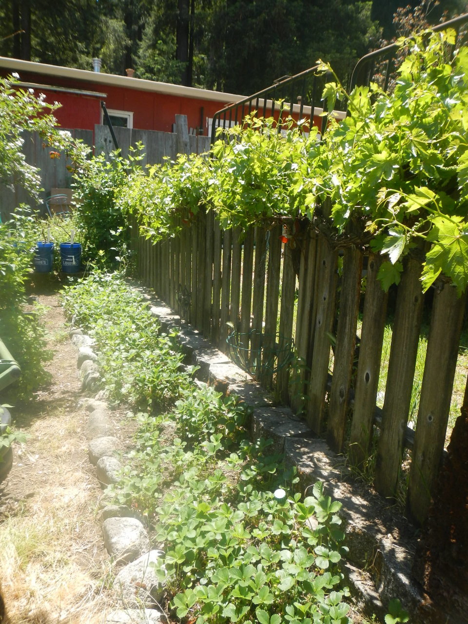 DSCN4646.jpg