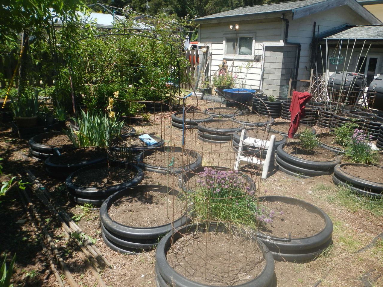 DSCN4649.jpg