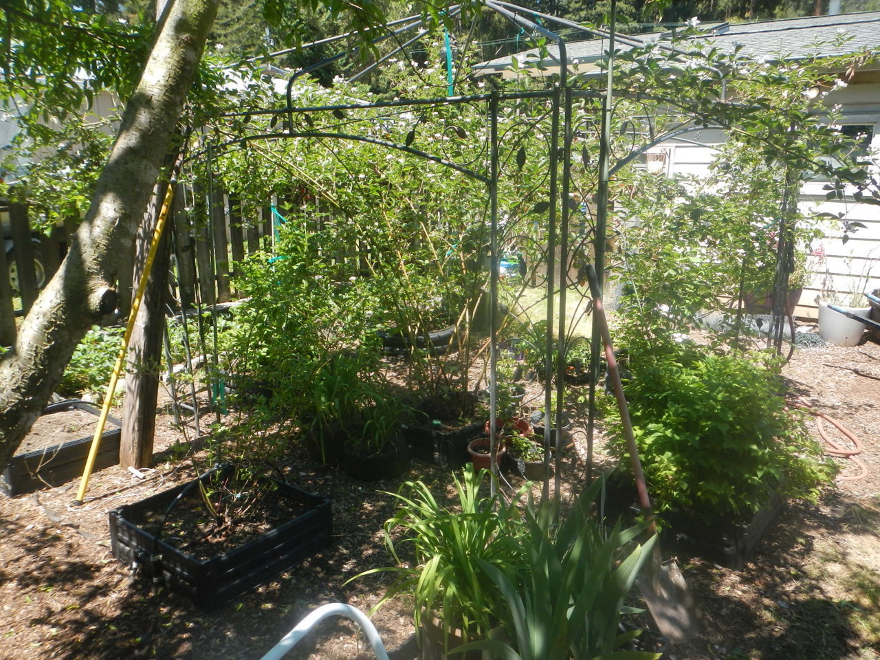 DSCN4650.jpg