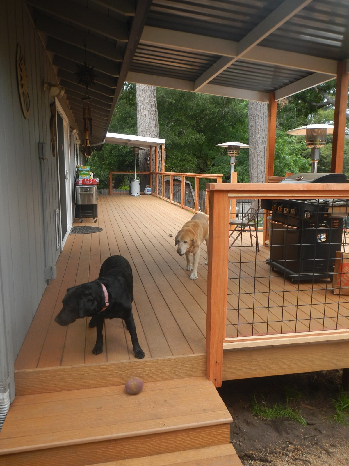 DSCN4653.jpg