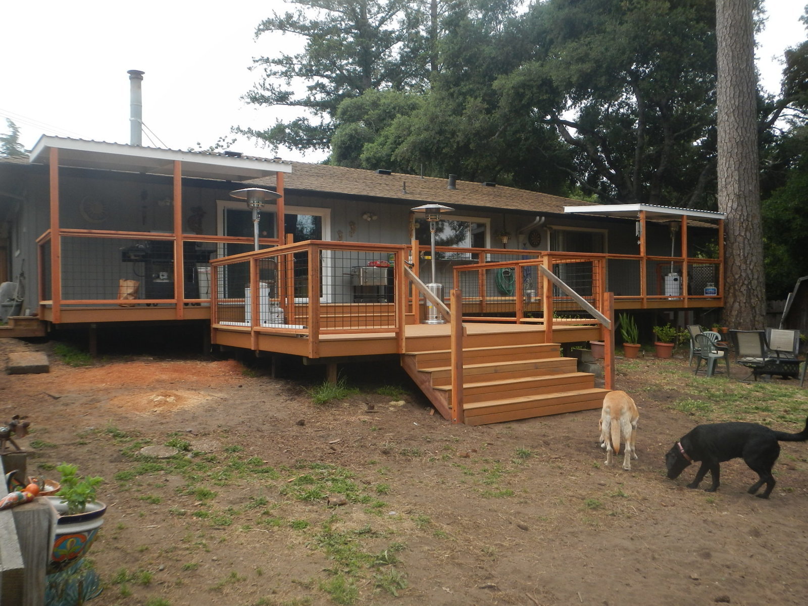 DSCN4656.jpg
