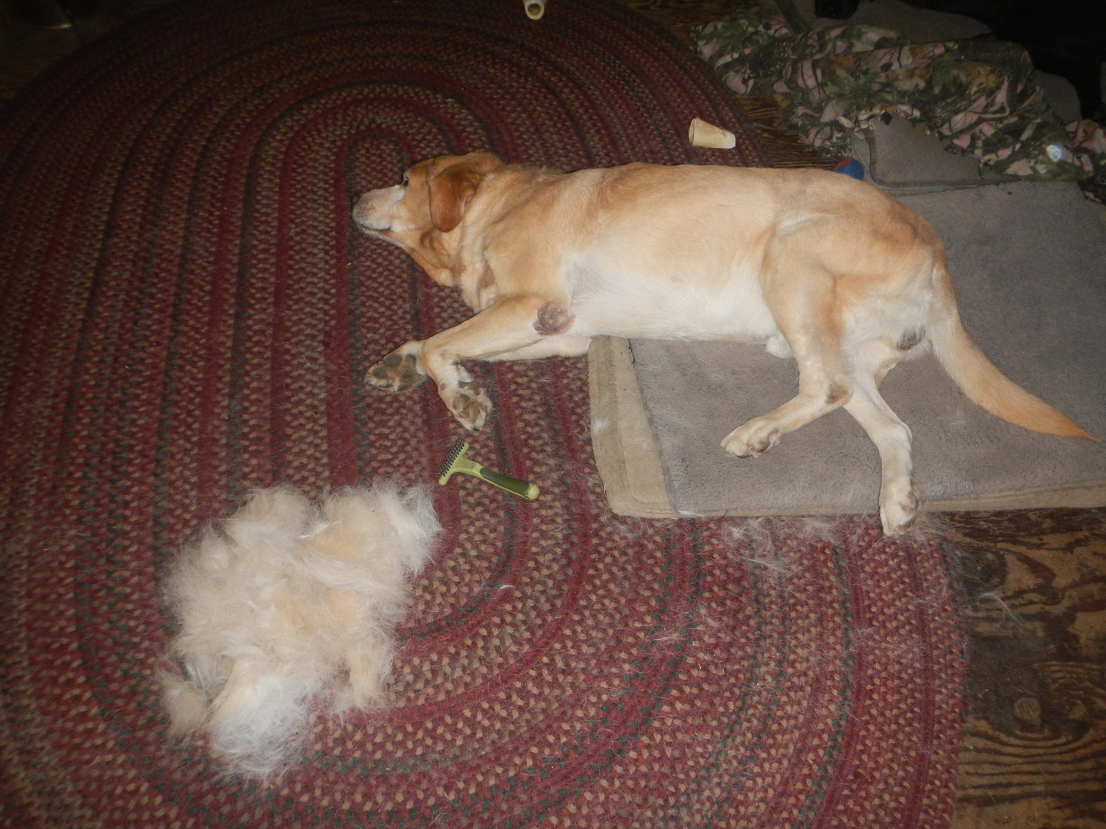 DSCN4867.jpg