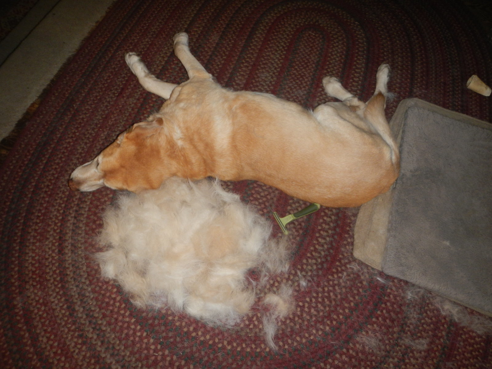 DSCN4868.jpg