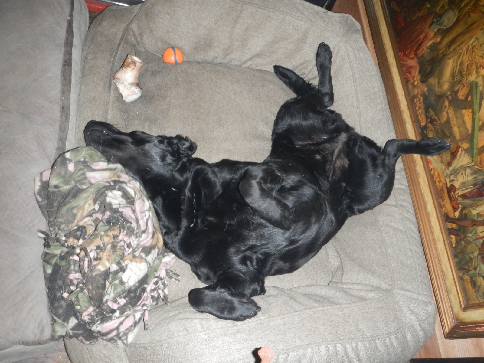 DSCN5113.jpg