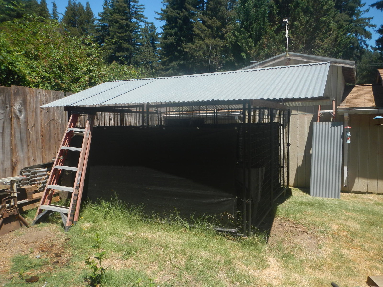 DSCN5136.jpg