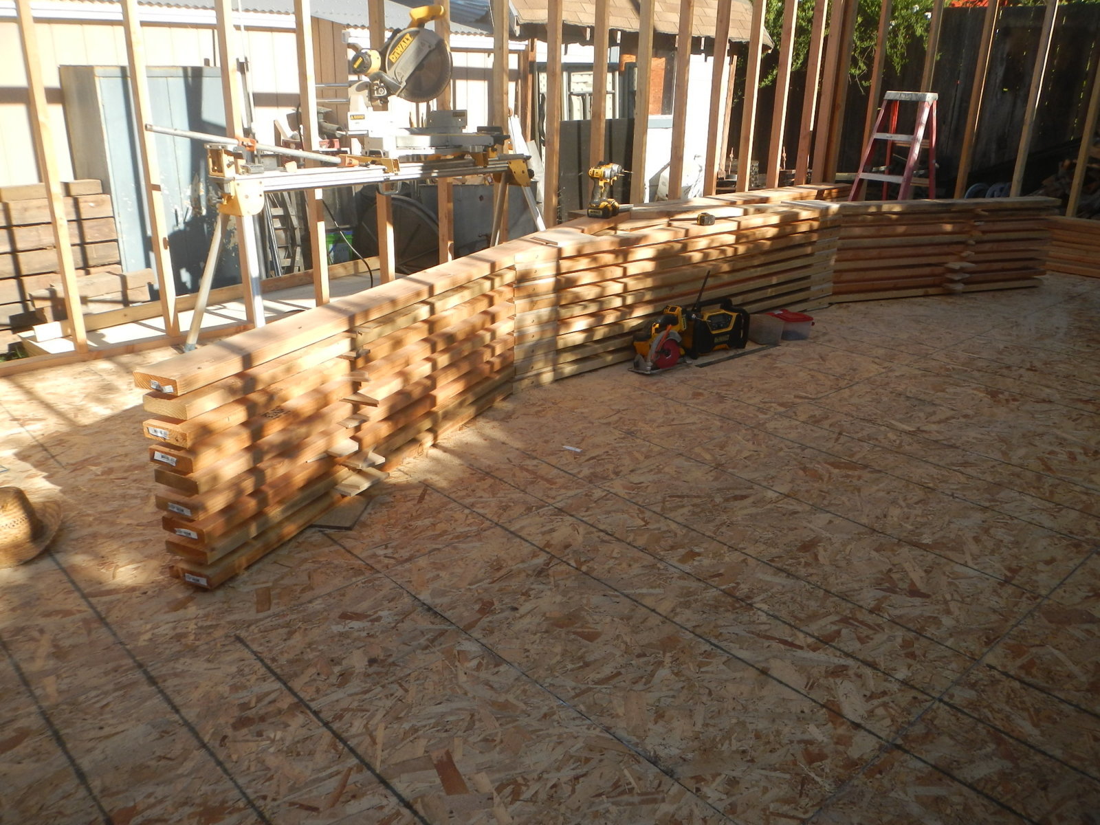 DSCN5170.jpg