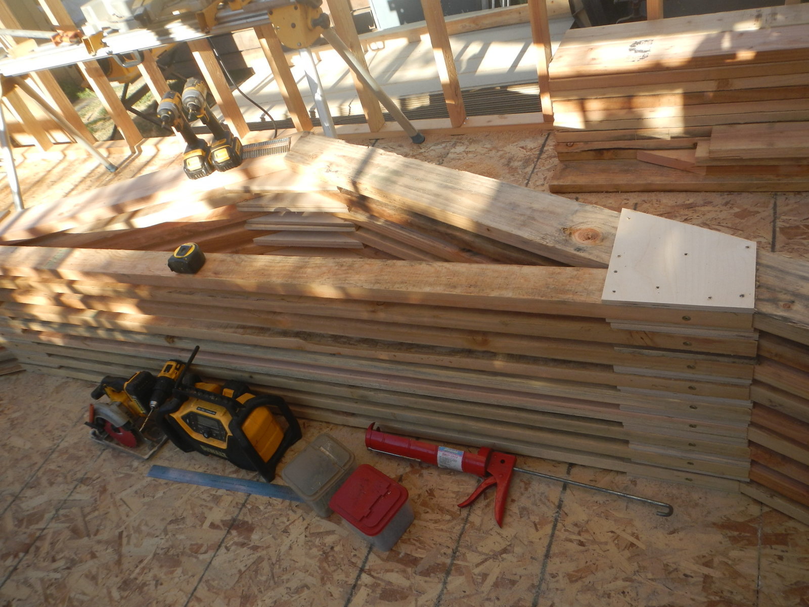 DSCN5172.jpg