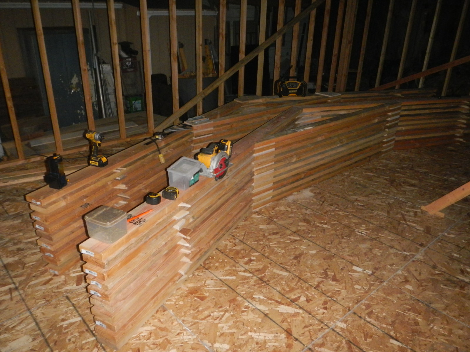 DSCN5174.jpg