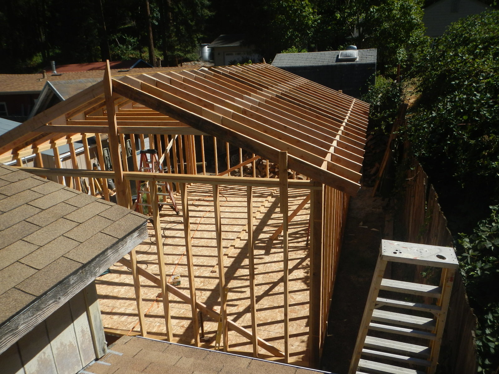 DSCN5177.jpg