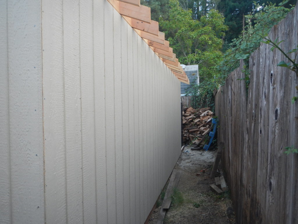 DSCN5185.jpg