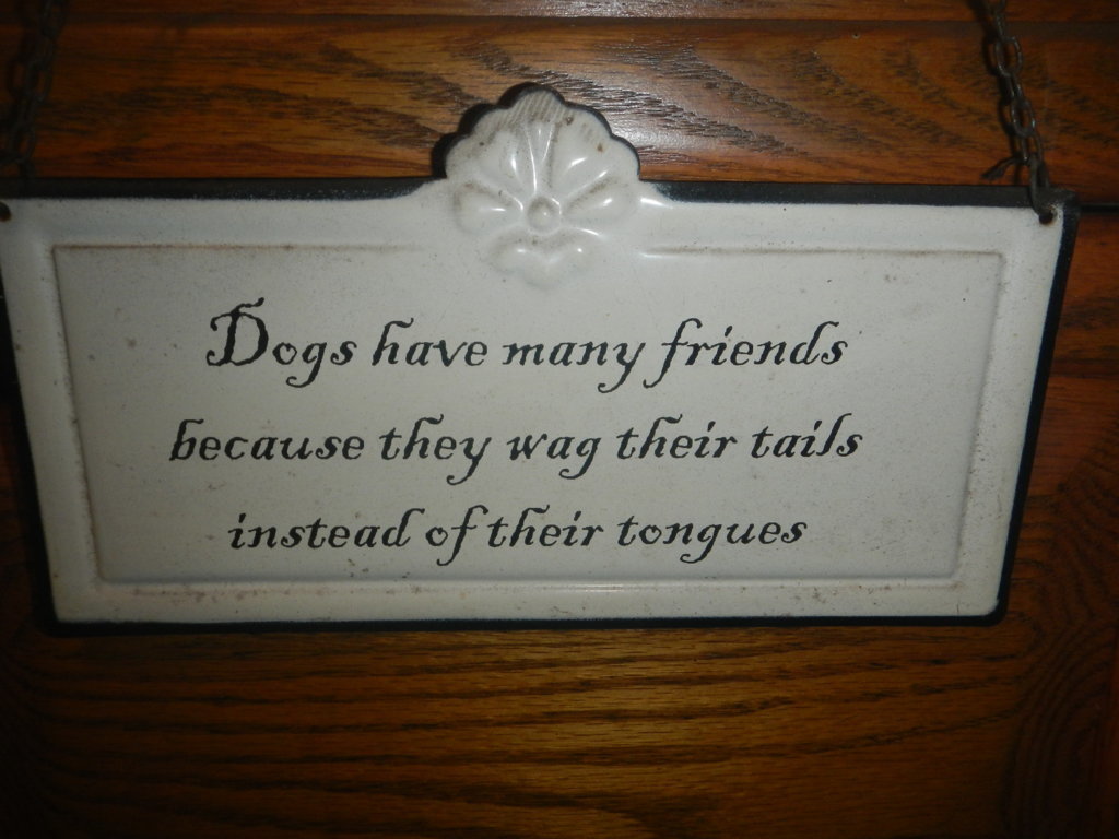 DSCN5489.jpg