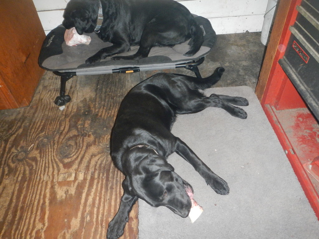 DSCN5494.jpg