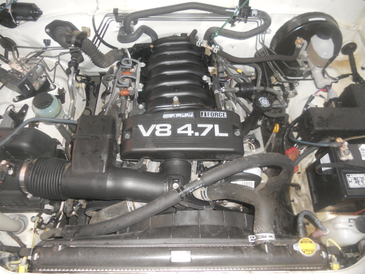 DSCN7095.jpg