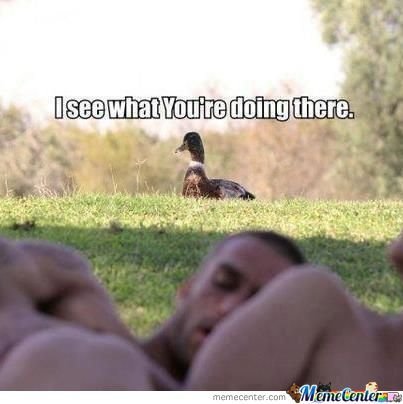 duck-what-ar-u-doing_o_814666.jpg