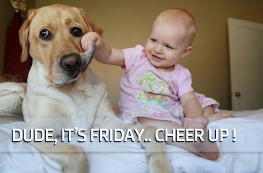 Dude-Its-Friday-Cheer-Up-Kid-With-Dog-Funny-Picture.jpg