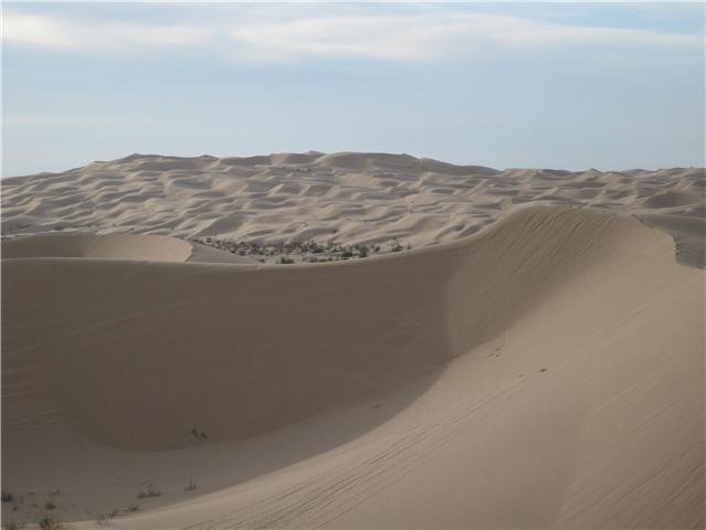 dunes.jpg