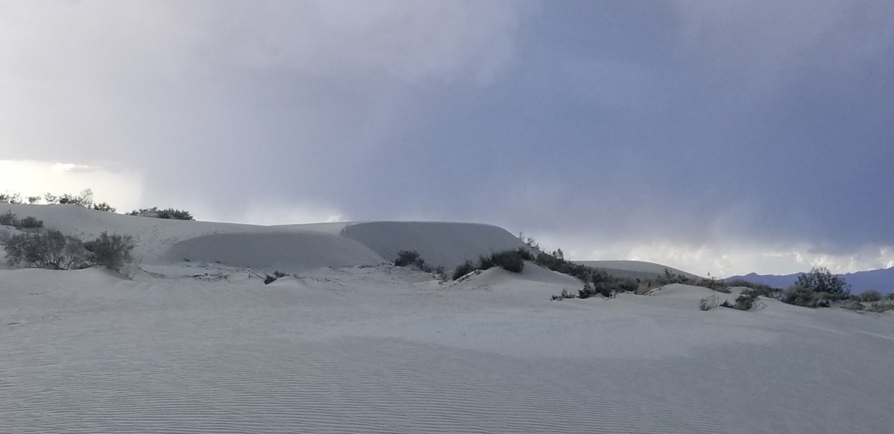 dunes.jpg