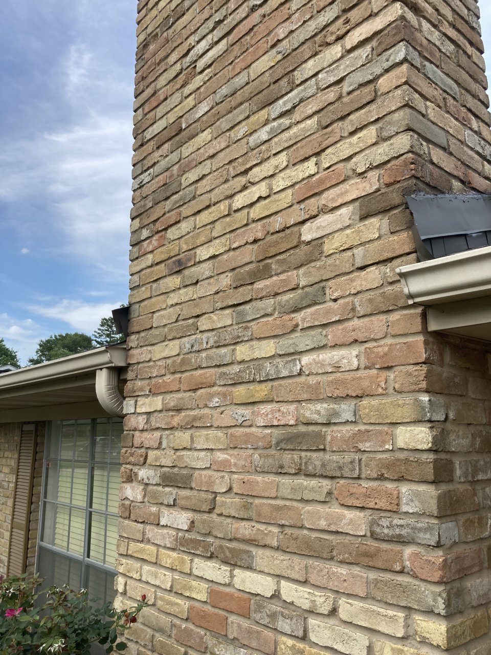 E34290A3-253E-426D-BF82-DB0D809426D6.jpg