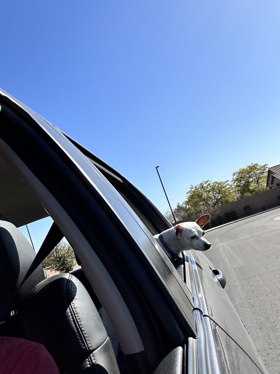 E3699762-99C9-4F78-820B-0BBDB6555465.jpg