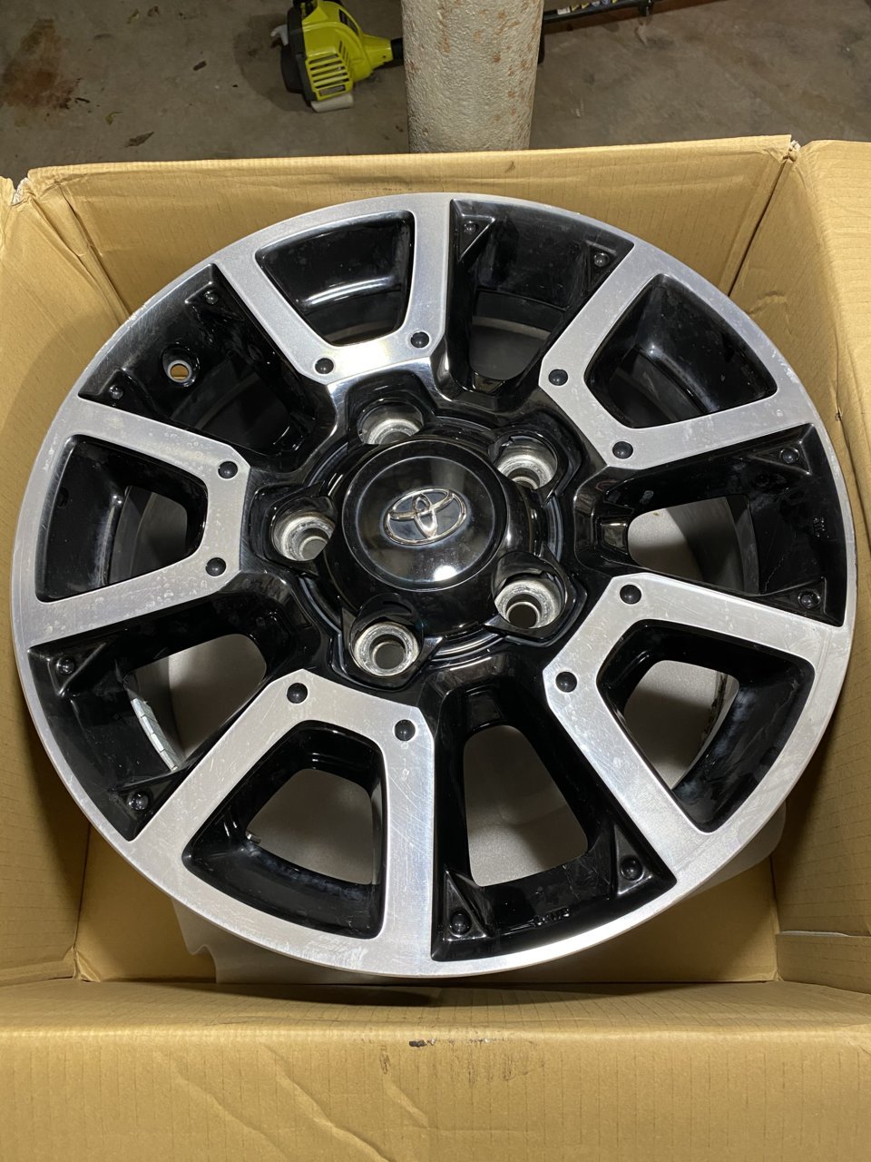 E38206CB-AC9E-4FA7-AB9C-44B4EAB8D2EC.jpg