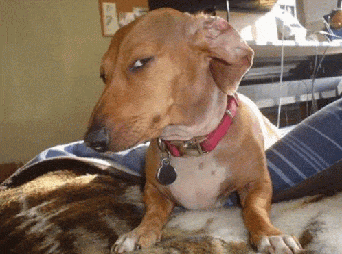 e6a5efb51ea3c890c59a2fb7cfc53c72744bb32a.gif
