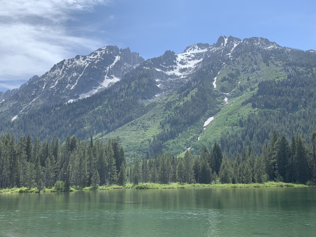 E95BB876-5B07-4AB1-903D-D9B79E8359BD.jpg