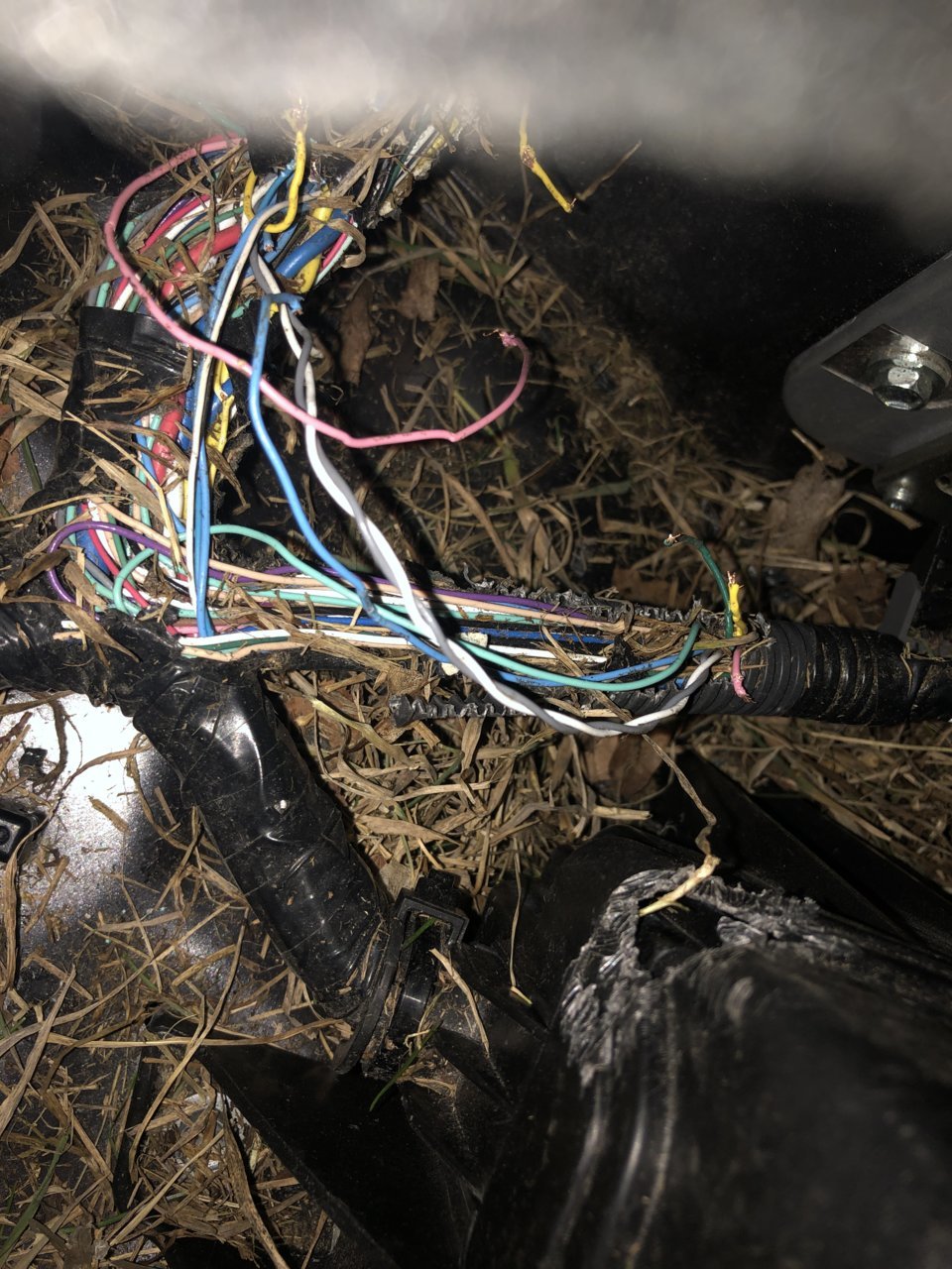 EA9560D3-2664-4EC1-B0D5-7E736641E6D8.jpg